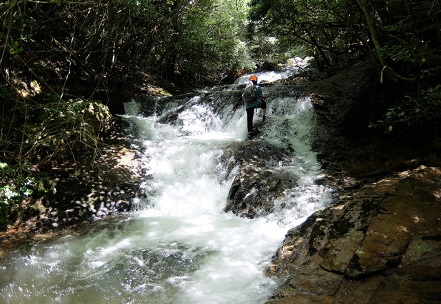 f:id:aw2q:20150726102510j:image