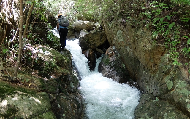 f:id:aw2q:20150726104130j:image