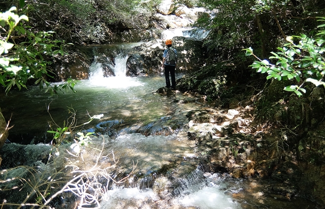 f:id:aw2q:20150726104133j:image