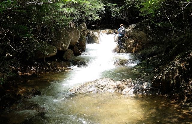 f:id:aw2q:20150726104134j:image