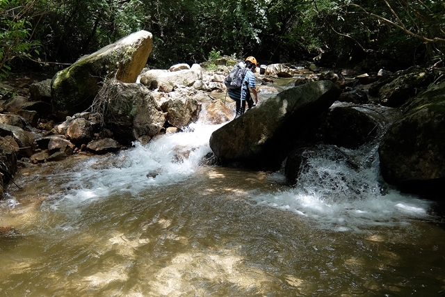 f:id:aw2q:20150726110146j:image