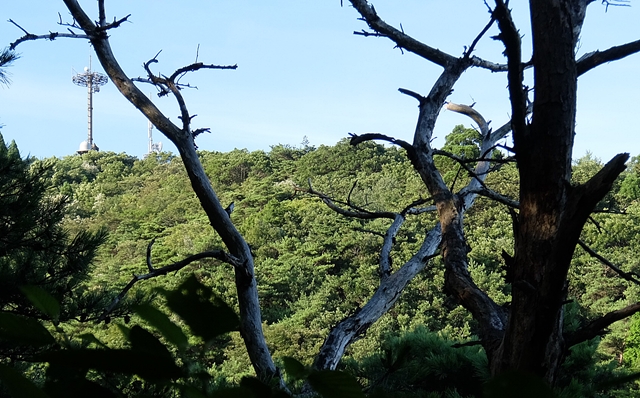 f:id:aw2q:20150728220419j:image