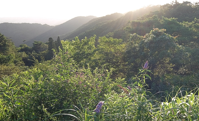 f:id:aw2q:20150730203947j:image