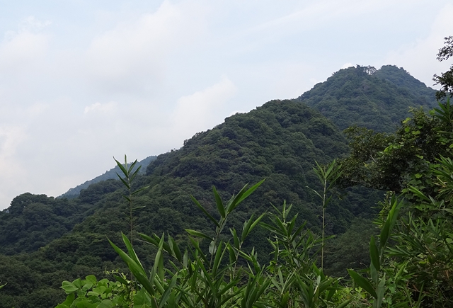 f:id:aw2q:20150829193944j:image