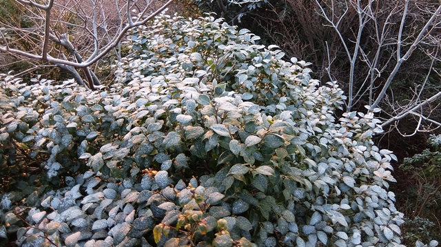 f:id:aw2q:20160101111620j:image