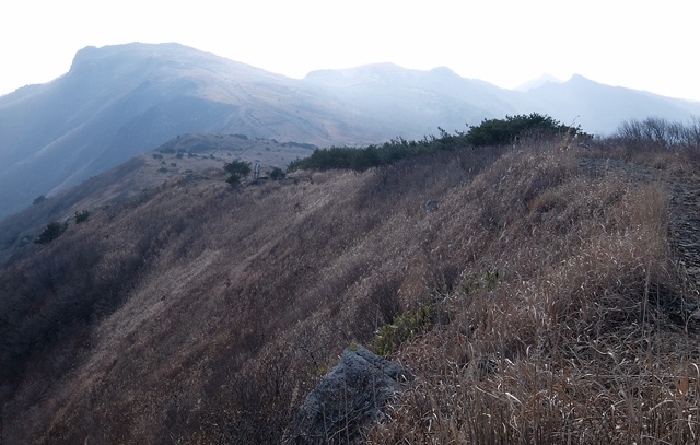 f:id:aw2q:20160101211348j:image