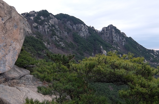 f:id:aw2q:20160112221512j:image