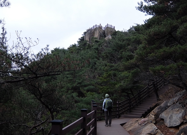 f:id:aw2q:20160112221518j:image