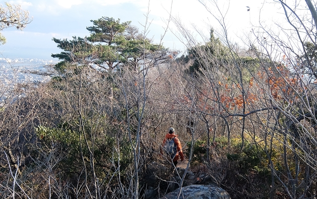 f:id:aw2q:20161224215533j:image