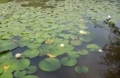20180516170132