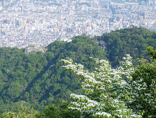 f:id:aw2q:20180605145710j:image