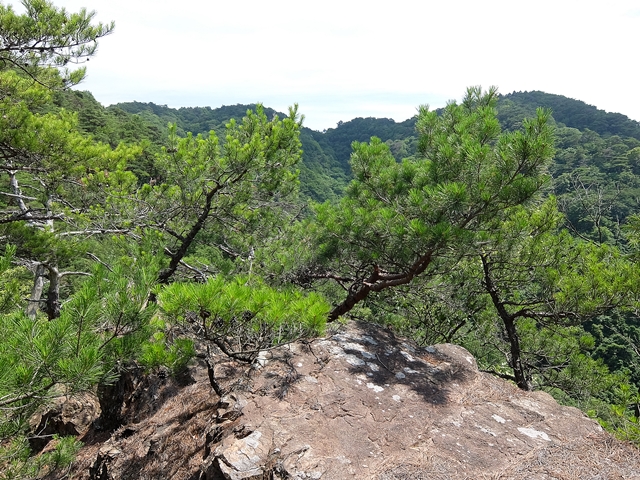 f:id:aw2q:20180623170100j:image