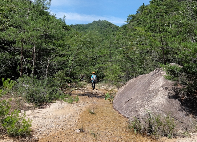 f:id:aw2q:20180710114015j:image
