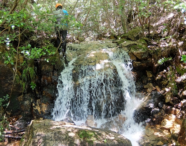 f:id:aw2q:20180710114330j:image