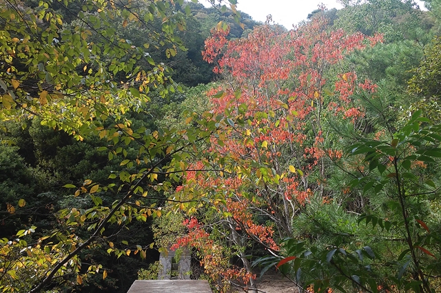 f:id:aw2q:20181020210935j:image
