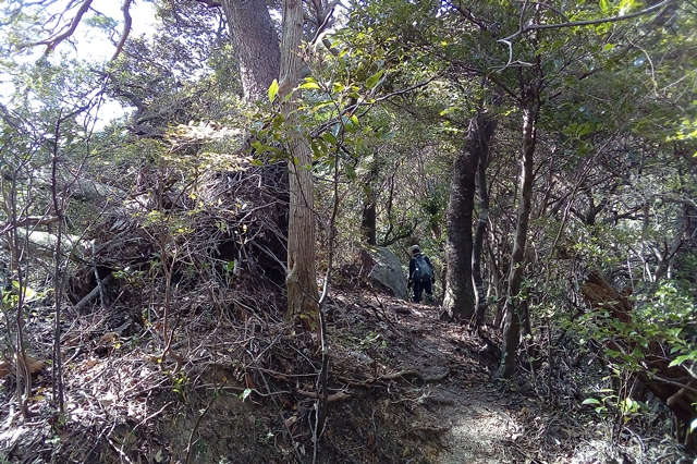 f:id:aw2q:20181020211357j:image
