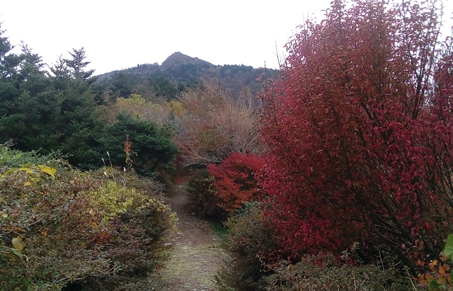 f:id:aw2q:20181106111952j:image