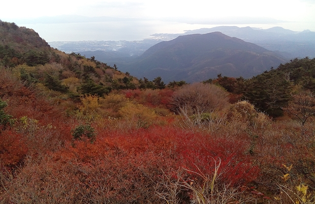 f:id:aw2q:20181106115813j:image
