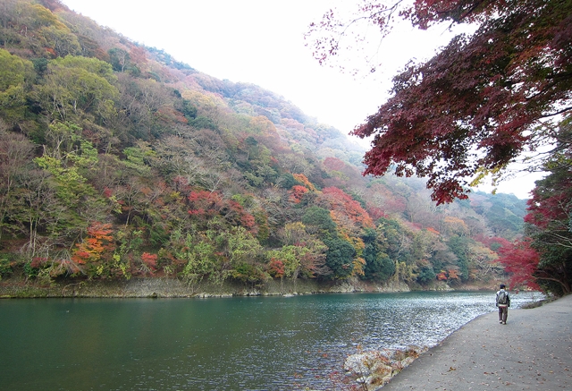 f:id:aw2q:20181127113514j:image