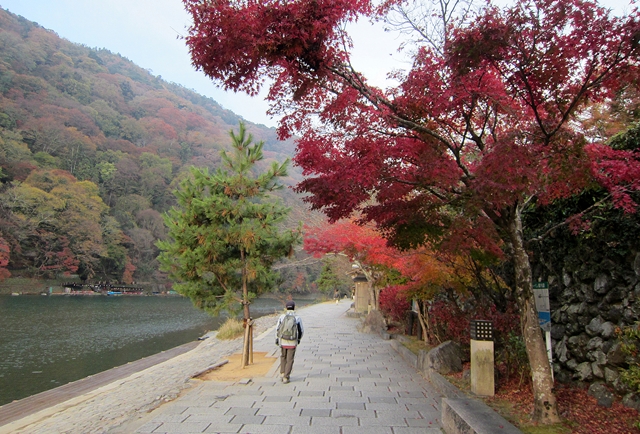 f:id:aw2q:20181127113519j:image