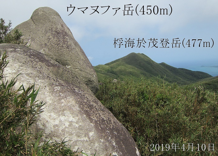ウマヌファ岳 450m 桴海於茂登岳 477m 石垣島 摩耶山の麓から