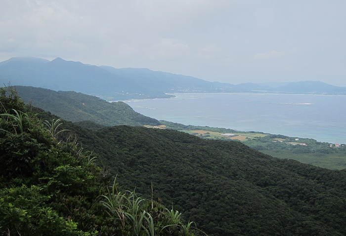 f:id:aw2q:20190417071238j:plain