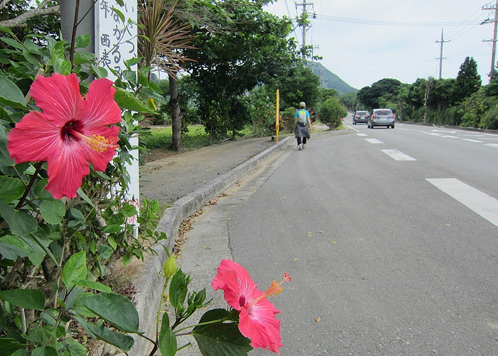 f:id:aw2q:20190417071621j:plain