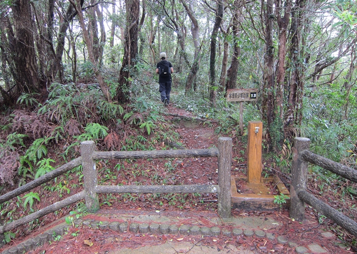 f:id:aw2q:20191028202843j:plain