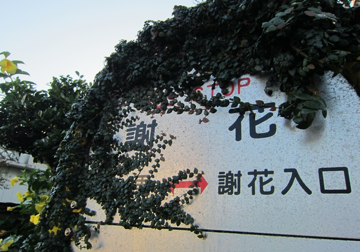 f:id:aw2q:20191030220604j:plain