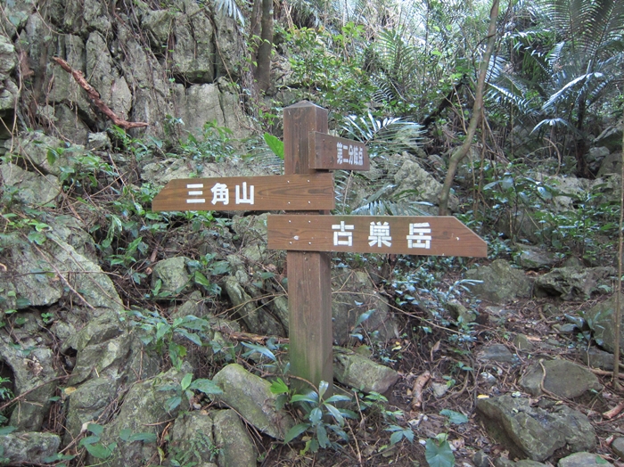 f:id:aw2q:20191102074844j:plain