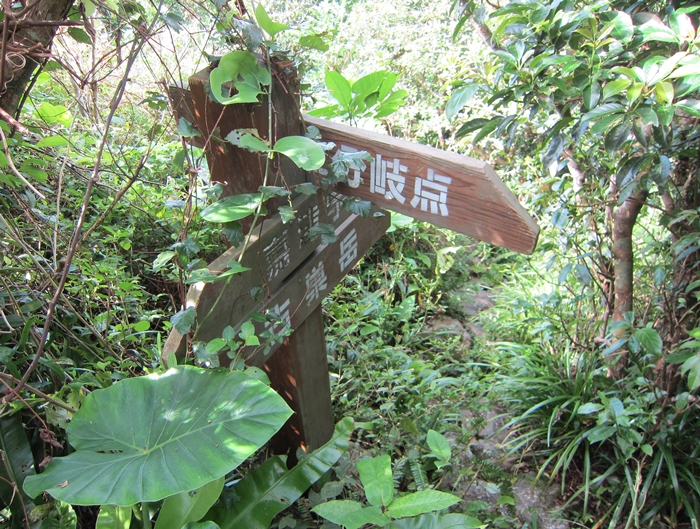 f:id:aw2q:20191102151751j:plain