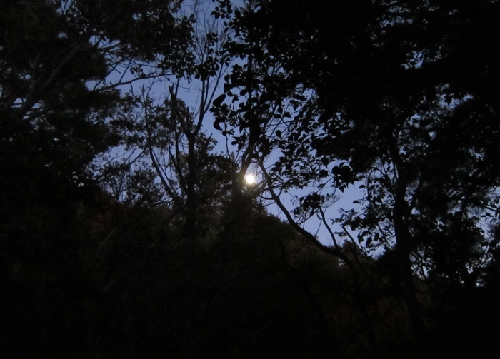 f:id:aw2q:20191109115221j:plain