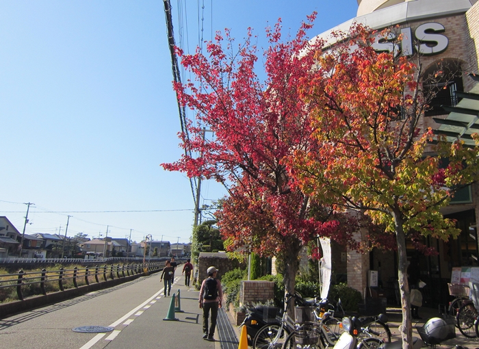 f:id:aw2q:20191113231748j:plain f:id:aw2q:20191113231748j:plain