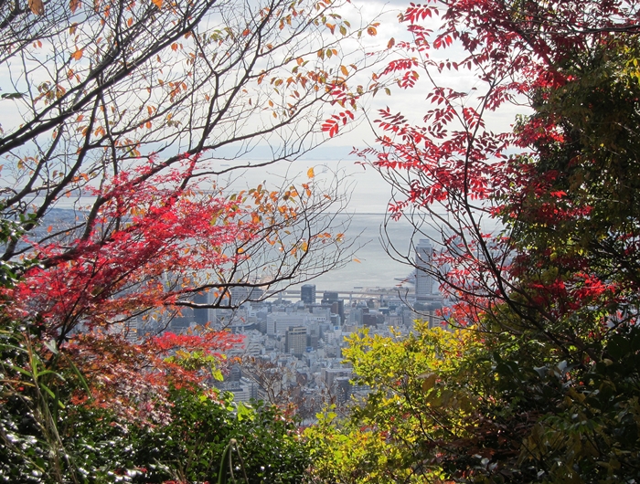 f:id:aw2q:20191202093729j:plain