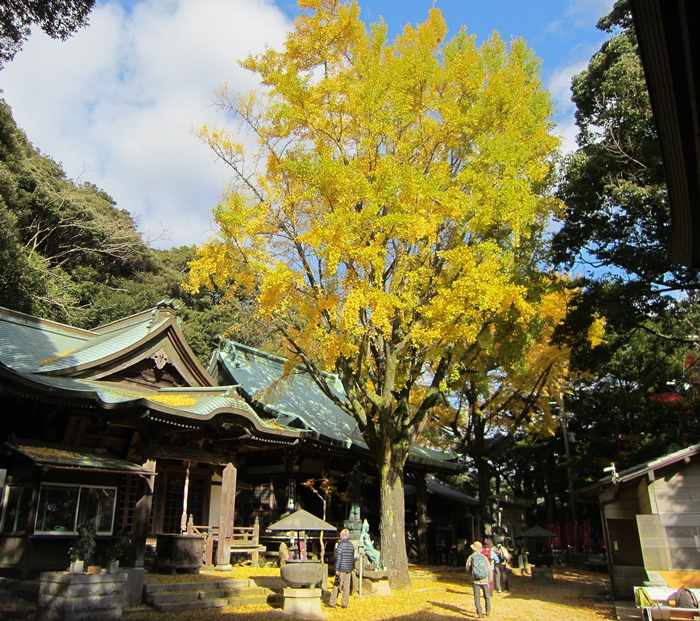 f:id:aw2q:20191202094158j:plain