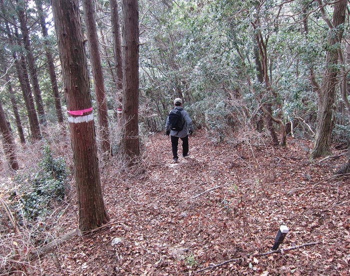 f:id:aw2q:20191212204115j:plain