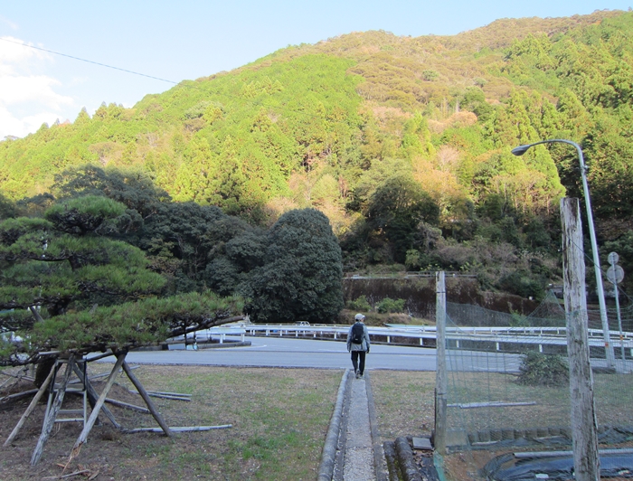 f:id:aw2q:20191212204550j:plain