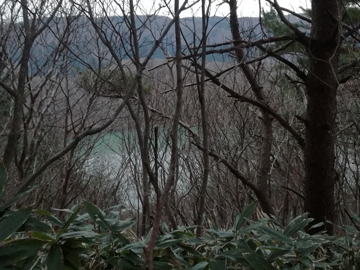 f:id:aw2q:20191220224646j:plain