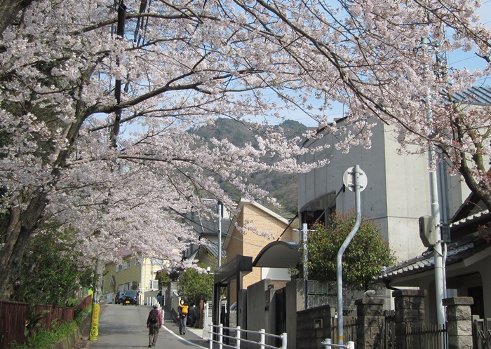 f:id:aw2q:20200403232914j:plain