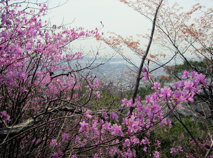 f:id:aw2q:20200403233340j:plain
