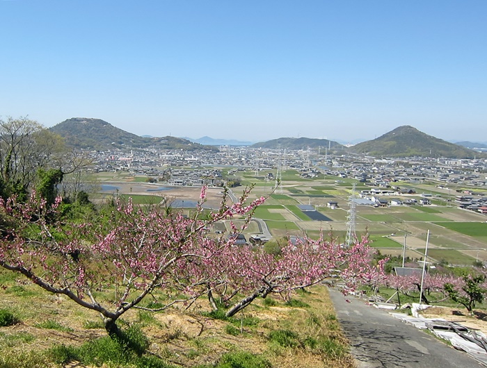 飯野山（讃岐富士）2012.7.22 | 三嶺さんぽ通信