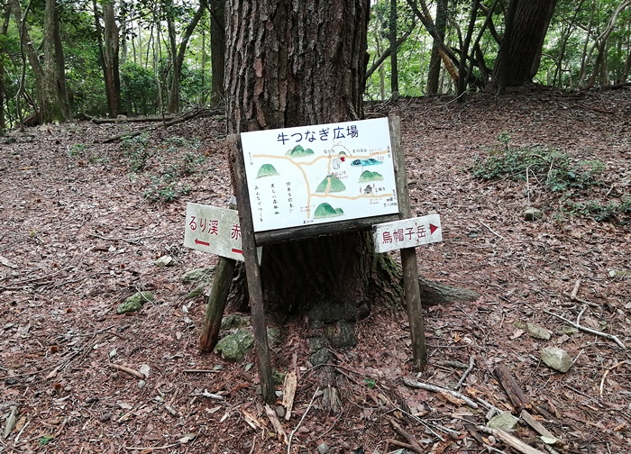 f:id:aw2q:20201002161035j:plain