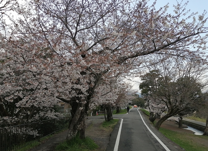 f:id:aw2q:20210327112616j:plain