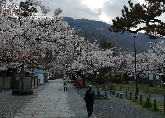 f:id:aw2q:20210327112834j:plain