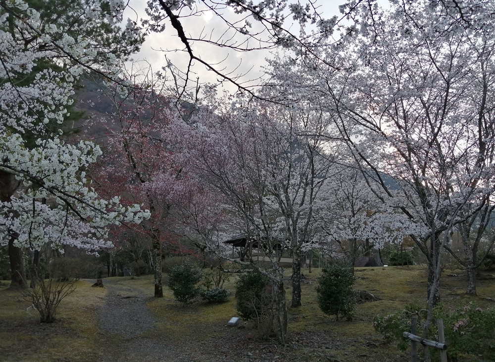 f:id:aw2q:20210327112955j:plain