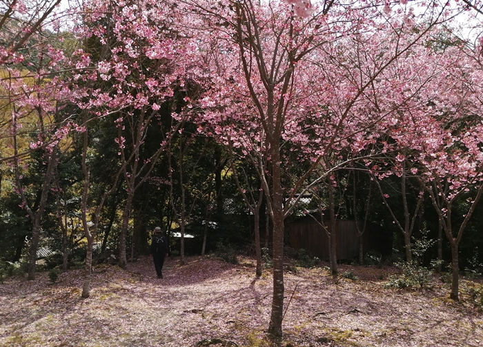 f:id:aw2q:20210328103607j:plain