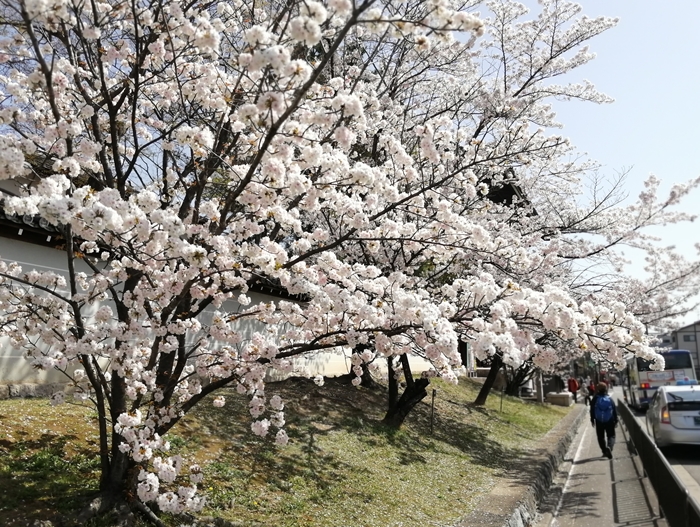 f:id:aw2q:20210405104804j:plain