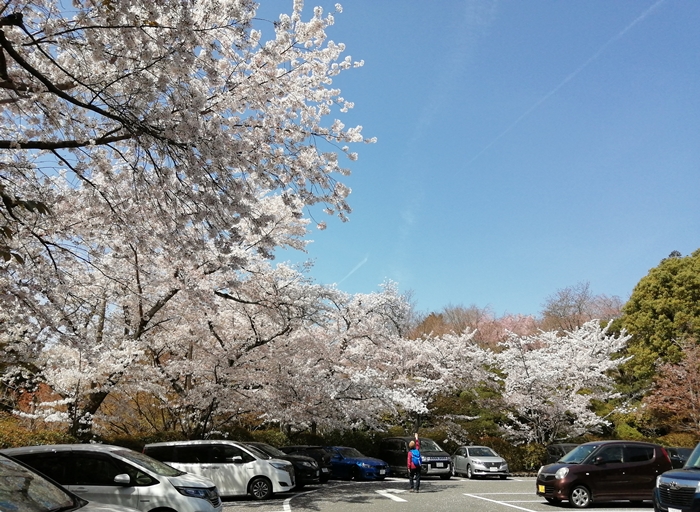 f:id:aw2q:20210405105108j:plain