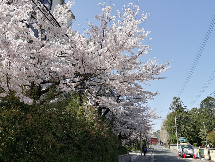 f:id:aw2q:20210405105731j:plain