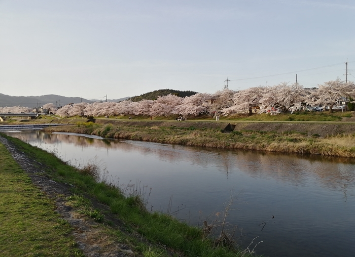 f:id:aw2q:20210405110631j:plain